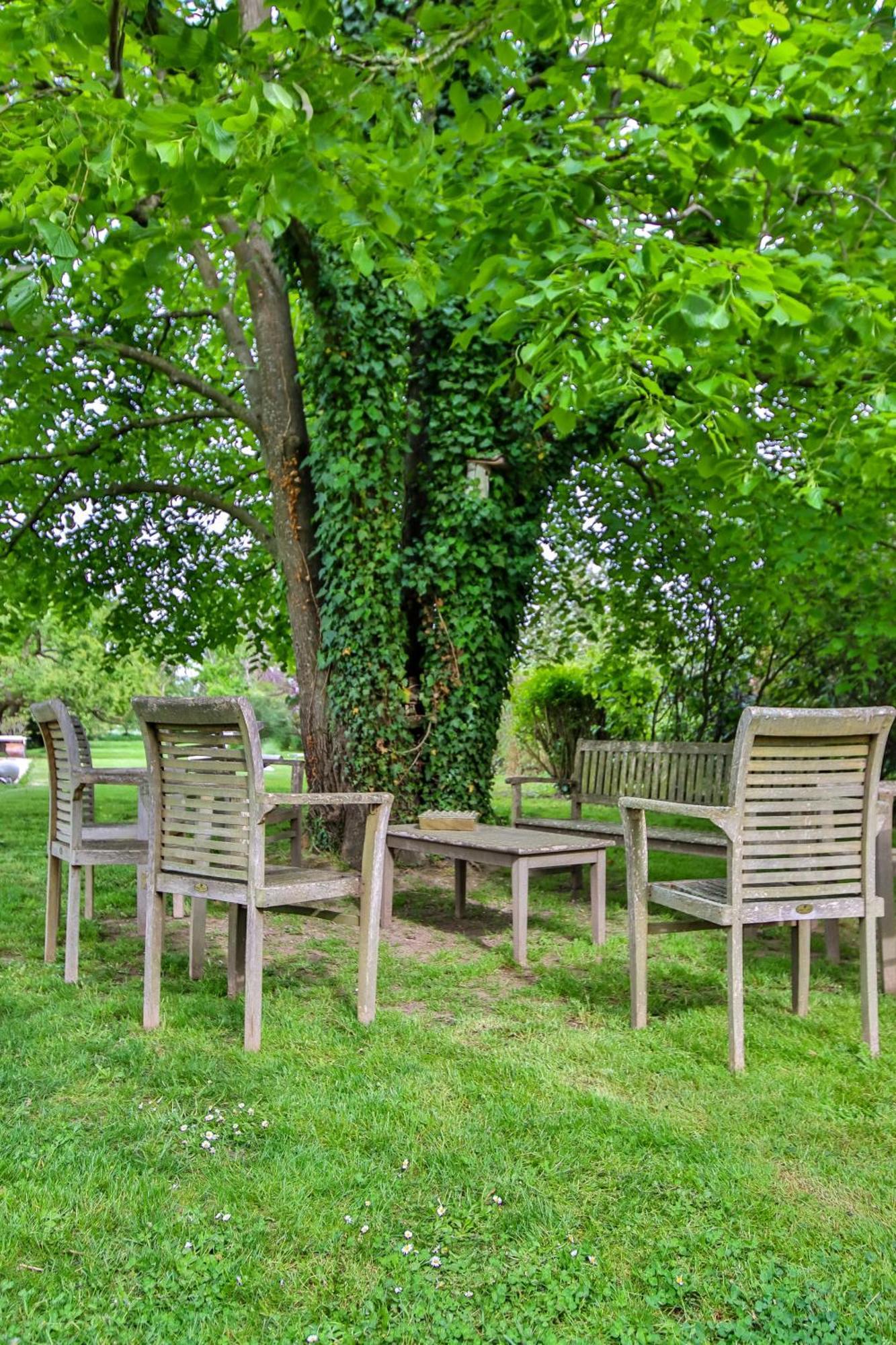 Domaine D'Aromm - Chambres D'Hotes & Gites - Piscine, Etangs & Animaux - Au Calme Ouches Exterior photo